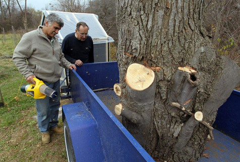 Beekeepers Ziad Noori and Keith Hopkins look over the rescued bee hive