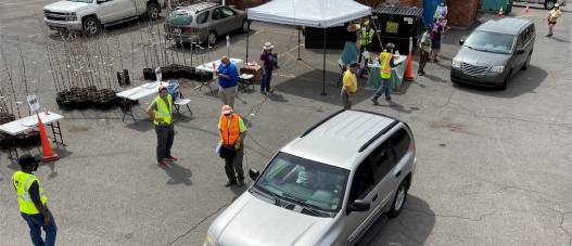 Greener Tomorrow thumnail