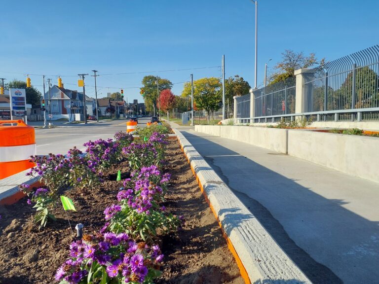 Shrubs, Grasses and Herbaceous plants on new Michigan Interchange Road Bridges